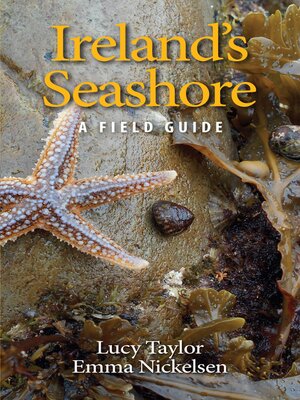 cover image of Ireland's Seashore